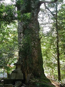 尾鈴大山神