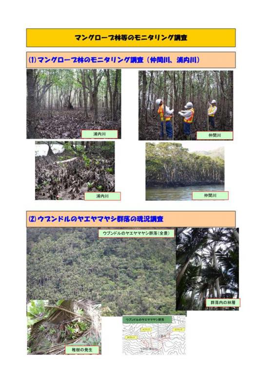 マングローブ林等のモニタリング調査