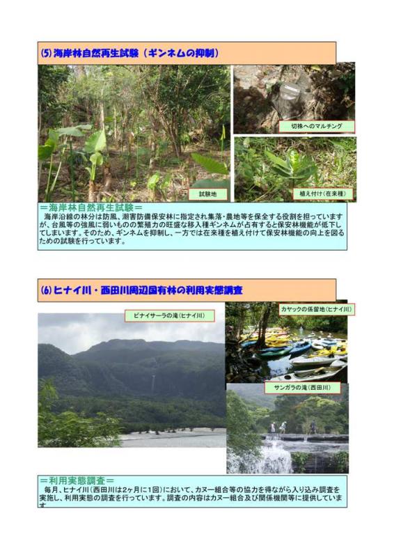 マングローブ林等のモニタリング調査3