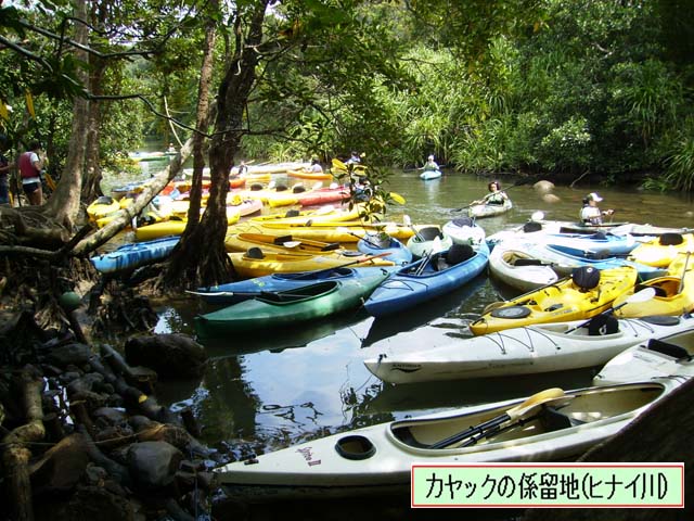 写真：カヤック係留地（ヒナイ川）