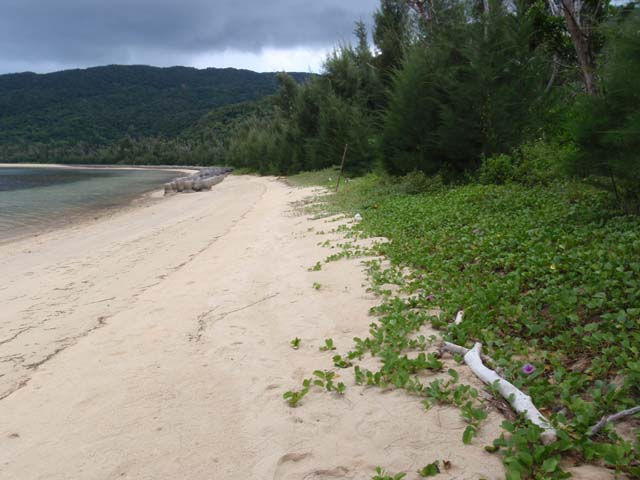 美田良地区(平成21年8月4日)