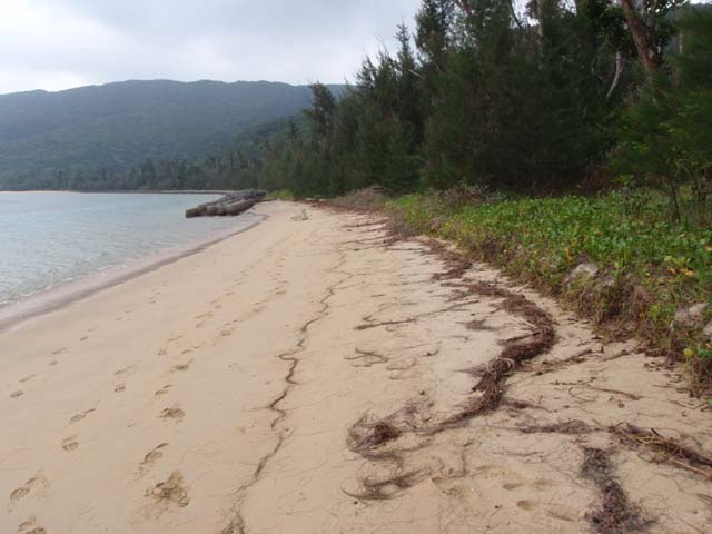 美田良地区(平成21年8月11日) 台風の影響