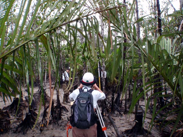 レベル測量による地盤高調査