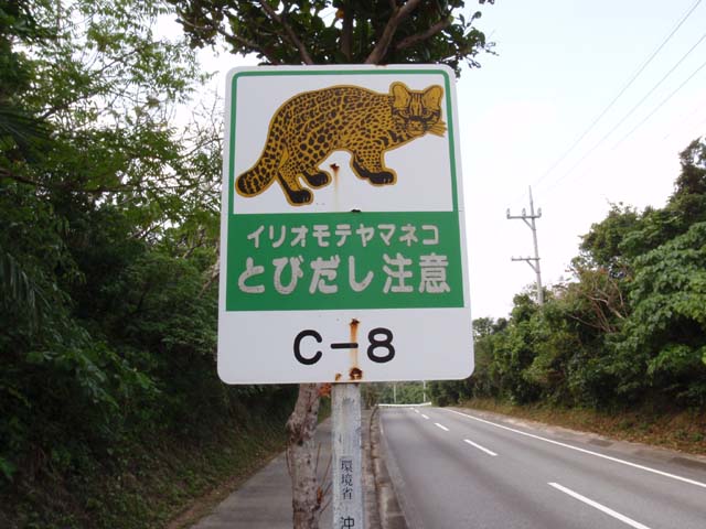 イリオモテヤマネコを見かけた近くの看板