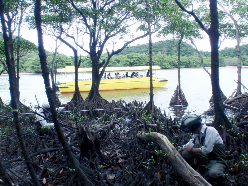 2011年10月期作業風景