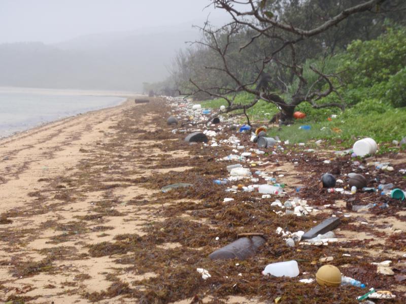 漂流･漂着ゴミ１１月ユチン地区
