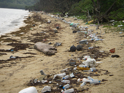 船浦湾の外側地区の漂着ゴミ