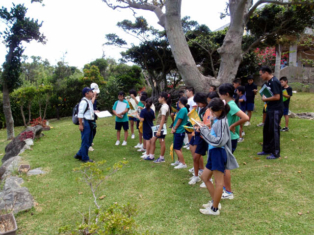 小学校で樹木名調べ学習を指導