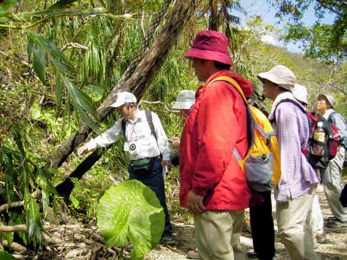 九州森林倶楽部平成19年度第3回イベント「八重山諸島自然観察会」を支援