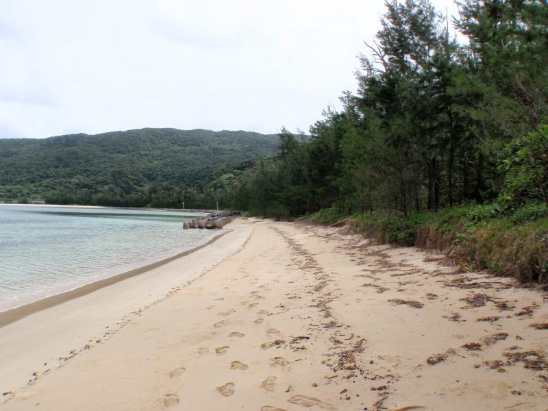 美田良地区の浜