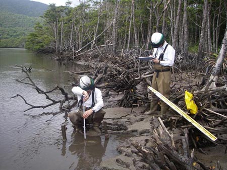 砂泥の移動調査