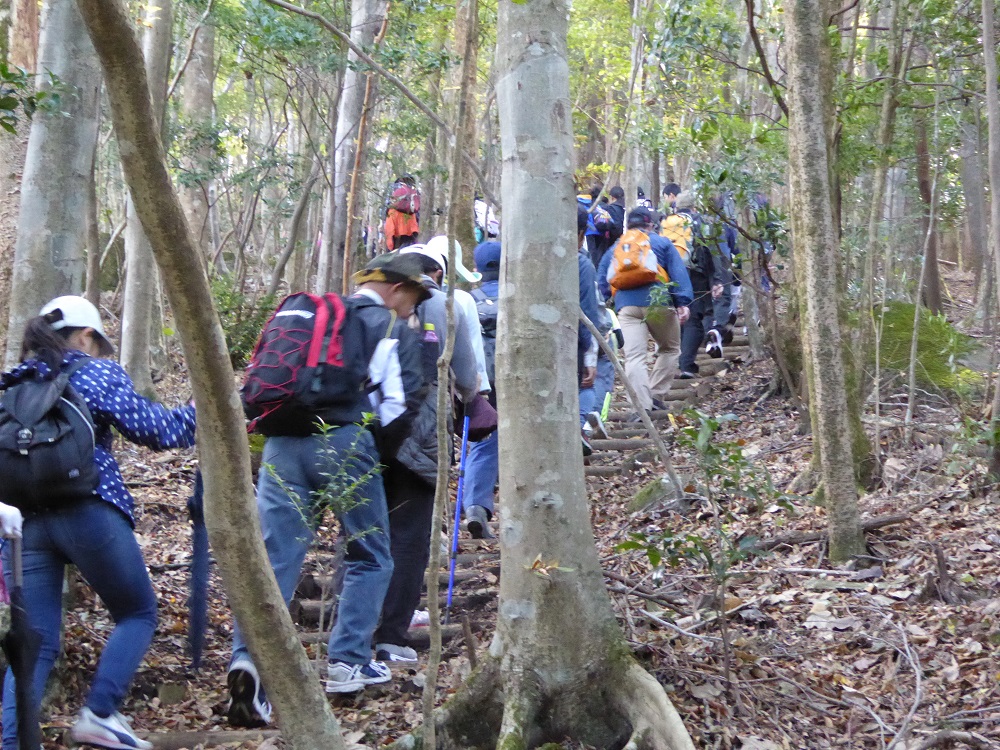 栗野岳登山