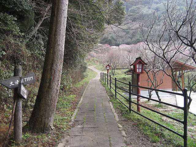 大法山への歩道