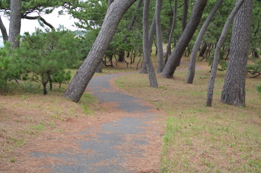 歩道