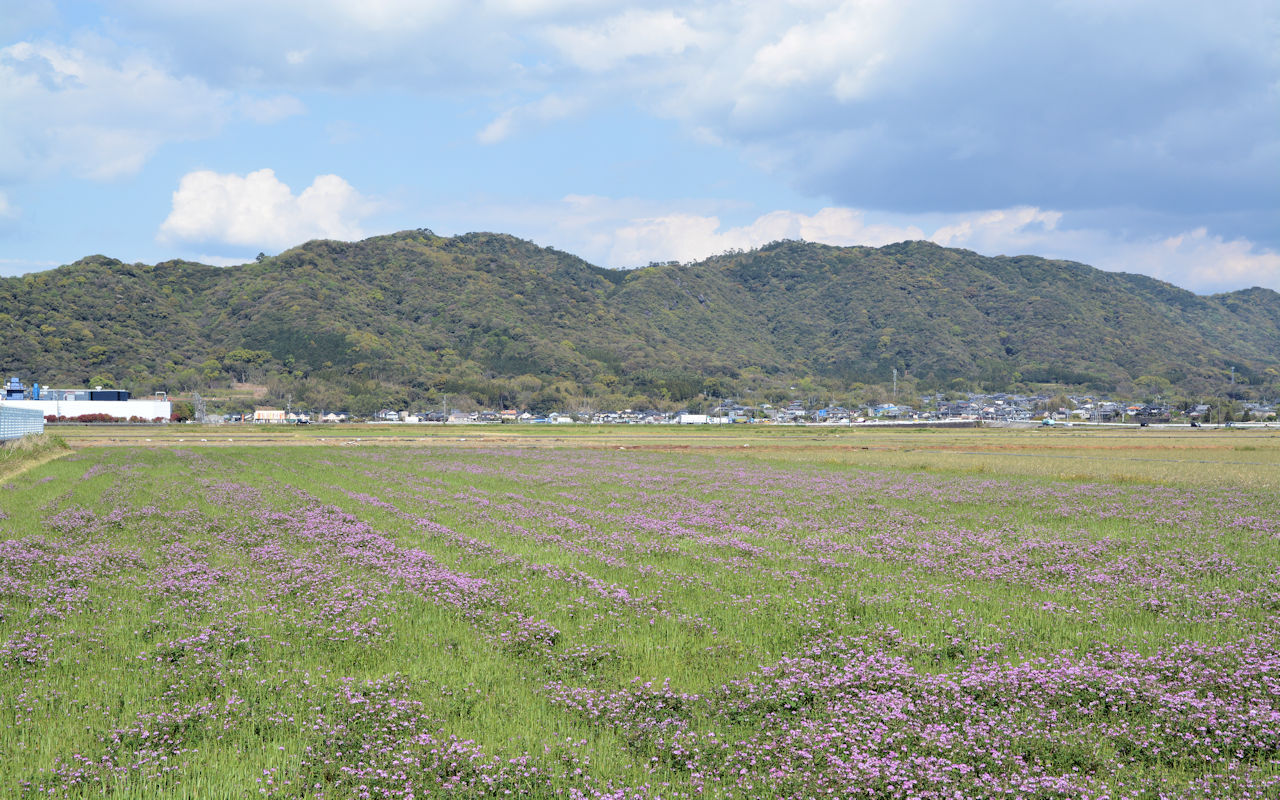 市街地から