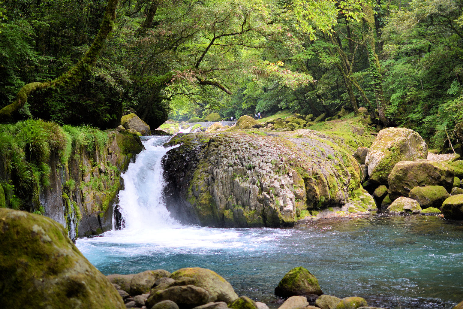 菊池渓谷の渓流