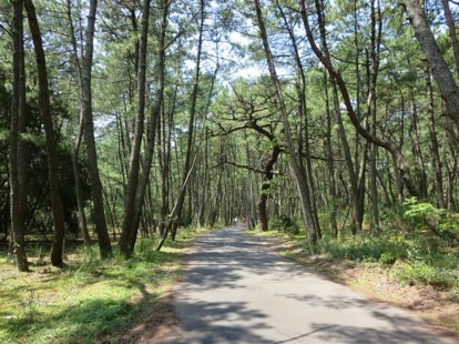 遊歩道