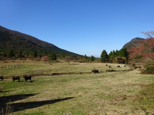 秋の田代原