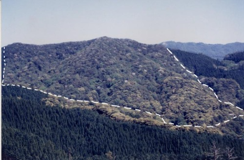 久木野アカガシ等遺伝資源希少個体群保護林 遠景 1