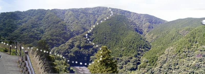 北向山林木遺伝資源保存林_遠景（立野の道路から）