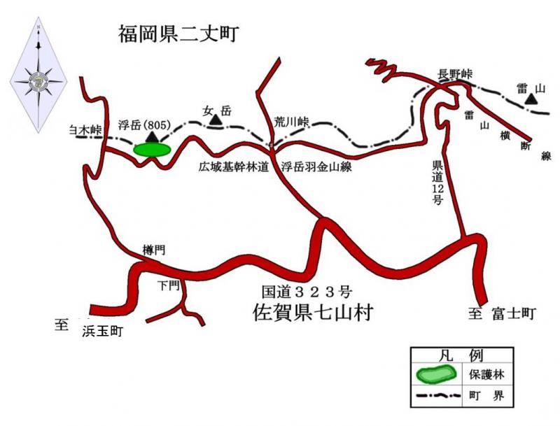 九州森林管理局 浮岳林木遺伝資源保存林