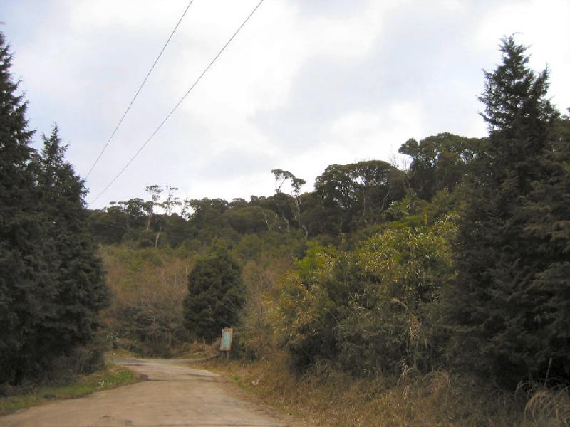 山砥スダジイ等希少個体群保護林  全景