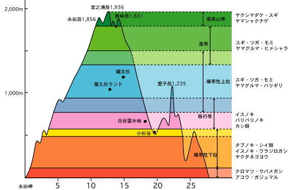 屋久島垂直分布