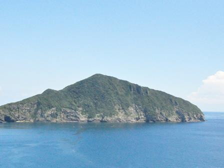 対馬の海岸林