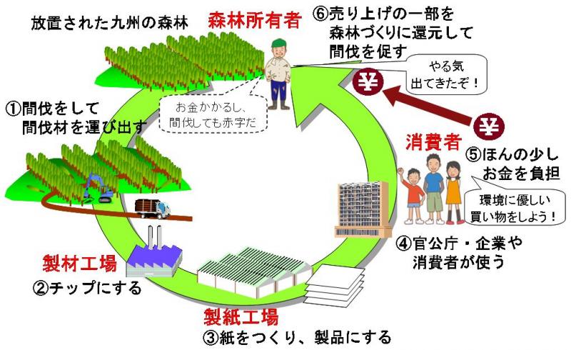 画像：「木になる紙」の概念図