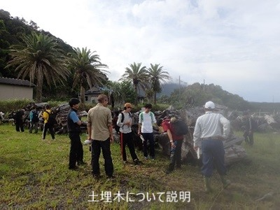 土埋木について説明