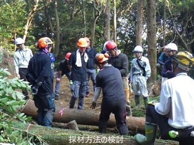 採材方法の検討の様子