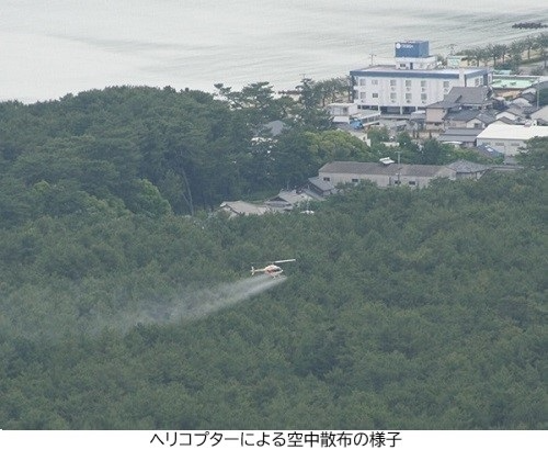写真2