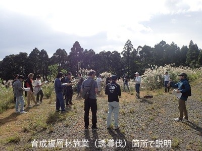 育成複層林施業