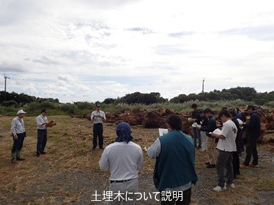 土埋木について説明