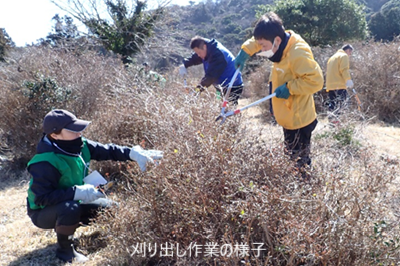 刈り出し作業の様子