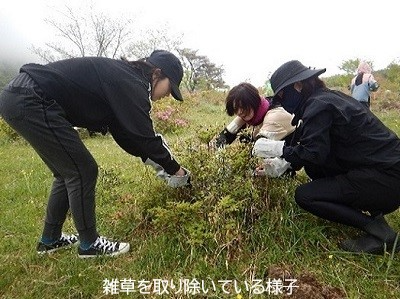 写真1