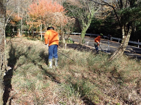 草刈り作業の様子