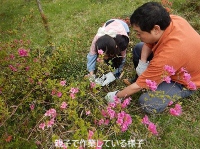 写真2