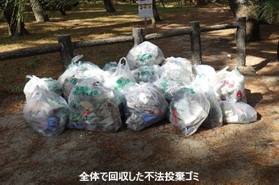 全体で回収した不法投棄ゴミ