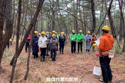 除伐作業の説明の様子