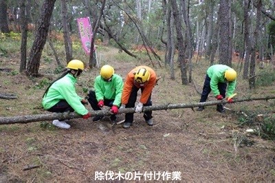 除伐木の片付け（適度な長さに玉切り）作業の様子