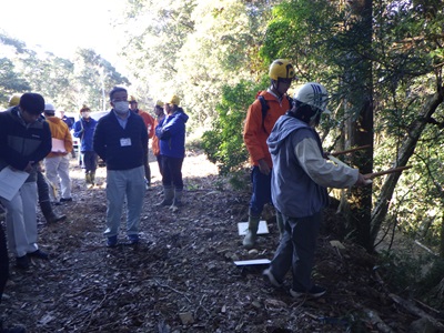 現地検討会（収穫調査の体験、林尺を使用する参加者）