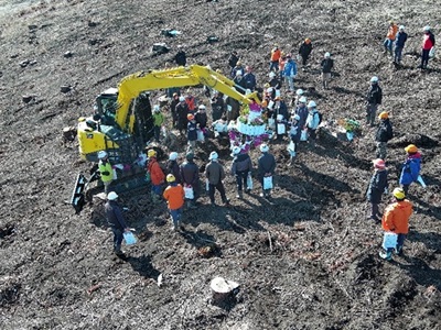 植付実演の様子(遠景)