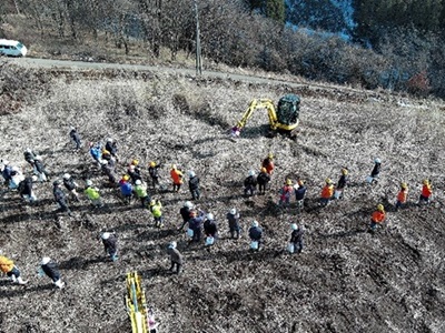 下刈実演の様子