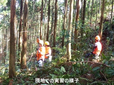 現地での実習の様子