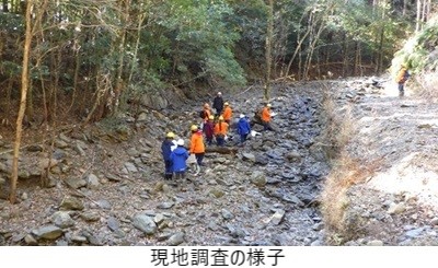 現地調査の様子