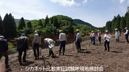 写真3