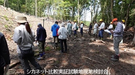 写真4