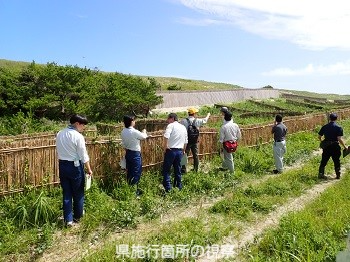 写真１
