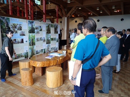 展示の様子